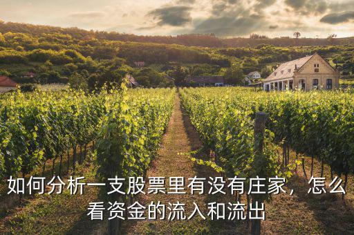 如何分析一支股票里有沒有莊家，怎么看資金的流入和流出