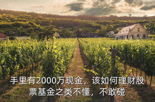 手里有2000萬(wàn)現(xiàn)金，該如何理財(cái)股票基金之類(lèi)不懂，不敢碰