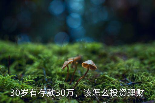 30歲有存款30萬，該怎么投資理財