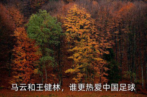 馬云和王健林，誰更熱愛中國足球