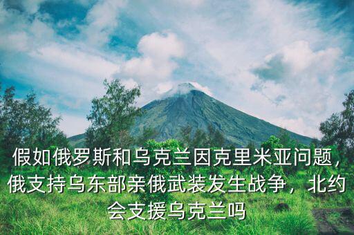 假如俄羅斯和烏克蘭因克里米亞問題，俄支持烏東部親俄武裝發(fā)生戰(zhàn)爭(zhēng)，北約會(huì)支援烏克蘭嗎