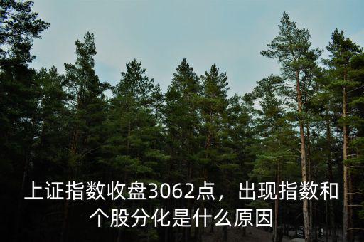 上證指數(shù)收盤3062點(diǎn)，出現(xiàn)指數(shù)和個(gè)股分化是什么原因