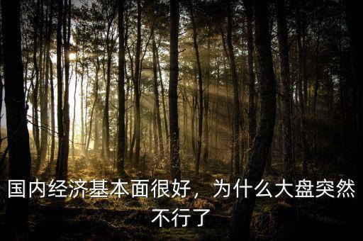 國內經濟基本面很好，為什么大盤突然不行了