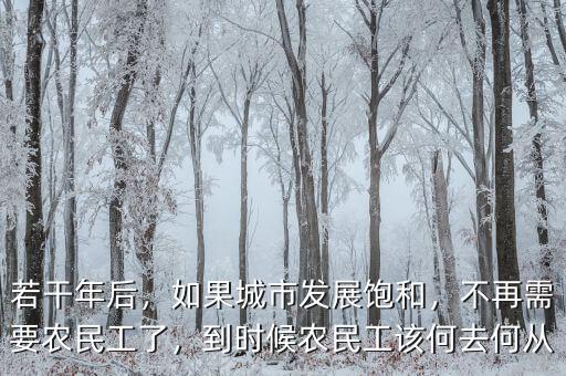 若干年后，如果城市發(fā)展飽和，不再需要農(nóng)民工了，到時(shí)候農(nóng)民工該何去何從