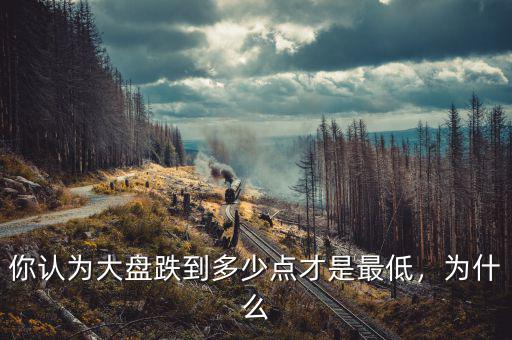 你認為大盤跌到多少點才是最低，為什么