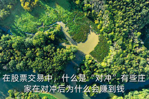 在股票交易中，什么是“對沖”有些莊家在對沖后為什么會賺到錢