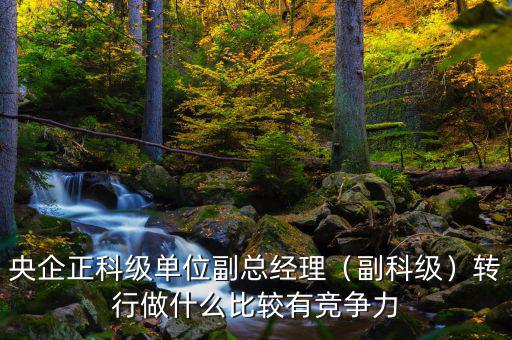 央企正科級單位副總經(jīng)理（副科級）轉行做什么比較有競爭力
