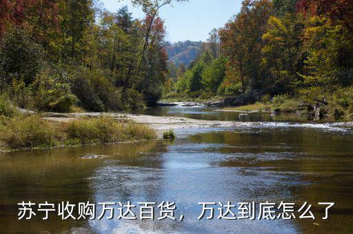蘇寧收購萬達百貨，萬達到底怎么了