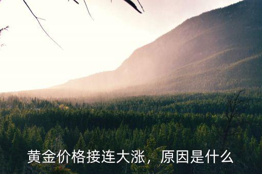 黃金價(jià)格接連大漲，原因是什么