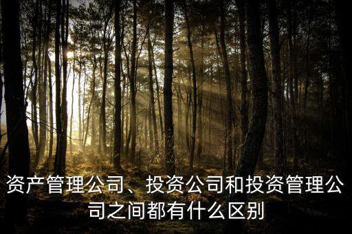 資產(chǎn)管理公司、投資公司和投資管理公司之間都有什么區(qū)別