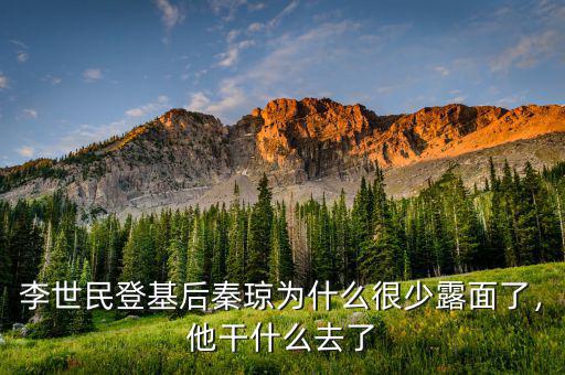 李世民登基后秦瓊為什么很少露面了，他干什么去了
