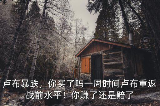 盧布暴跌，你買了嗎一周時間盧布重返戰(zhàn)前水平！你賺了還是賠了