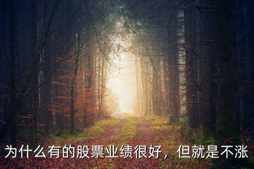 為什么有的股票業(yè)績很好，但就是不漲
