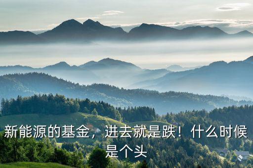 新能源的基金，進(jìn)去就是跌！什么時(shí)候是個(gè)頭