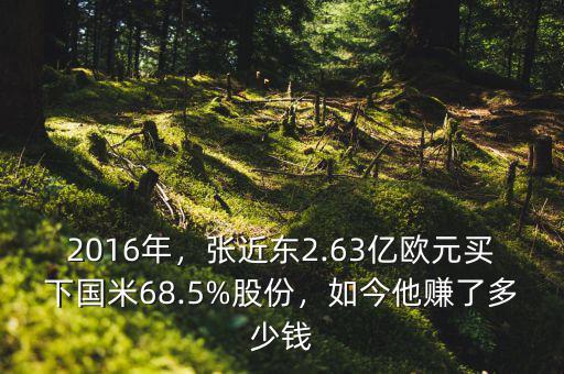 2016年，張近東2.63億歐元買下國米68.5%股份，如今他賺了多少錢