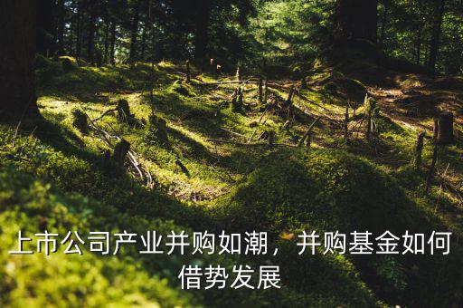 上市公司產(chǎn)業(yè)并購(gòu)如潮，并購(gòu)基金如何借勢(shì)發(fā)展