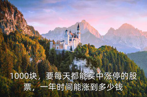 1000塊，要每天都能買中漲停的股票，一年時間能漲到多少錢