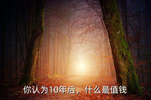 你認為10年后，什么最值錢