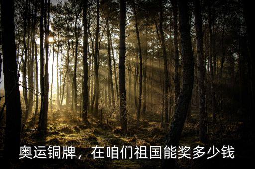 奧運銅牌，在咱們祖國能獎多少錢