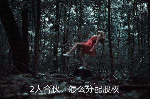 2人合伙，怎么分配股權