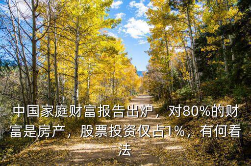 中國(guó)家庭財(cái)富報(bào)告出爐，對(duì)80%的財(cái)富是房產(chǎn)，股票投資僅占1%，有何看法