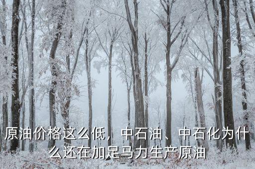 原油價格這么低，中石油、中石化為什么還在加足馬力生產(chǎn)原油
