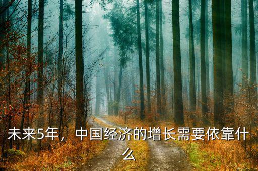 未來5年，中國經(jīng)濟的增長需要依靠什么
