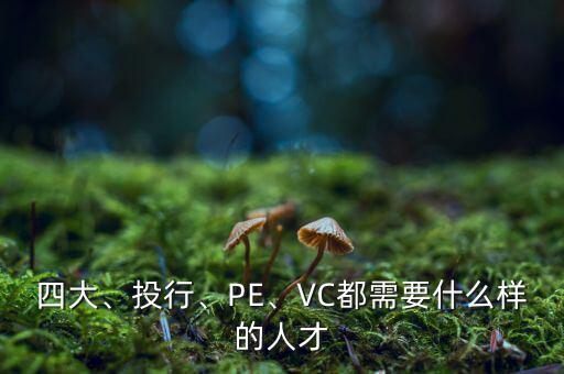 四大、投行、PE、VC都需要什么樣的人才