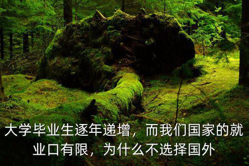 大學(xué)畢業(yè)生逐年遞增，而我們國(guó)家的就業(yè)口有限，為什么不選擇國(guó)外