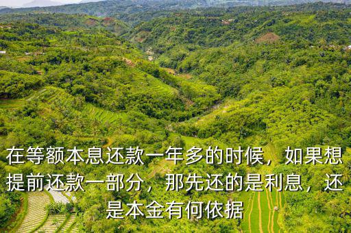 在等額本息還款一年多的時(shí)候，如果想提前還款一部分，那先還的是利息，還是本金有何依據(jù)