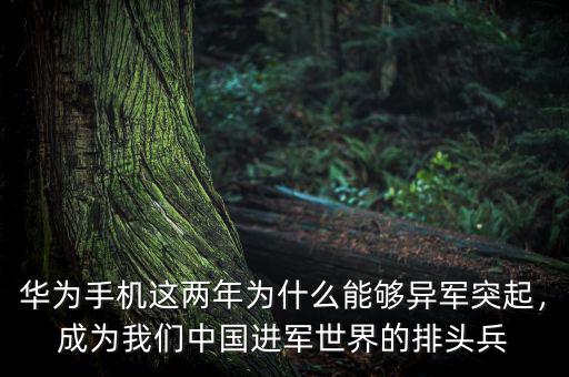 華為手機(jī)這兩年為什么能夠異軍突起，成為我們中國進(jìn)軍世界的排頭兵