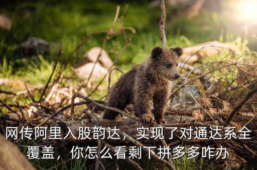 網(wǎng)傳阿里入股韻達，實現(xiàn)了對通達系全覆蓋，你怎么看剩下拼多多咋辦