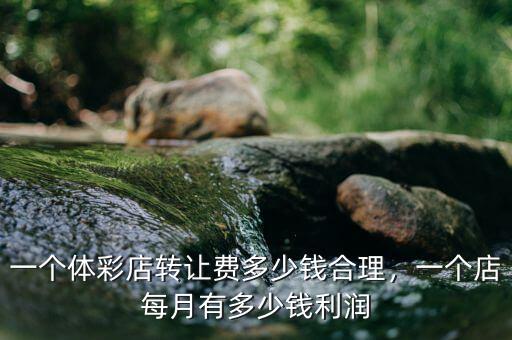 一個體彩店轉(zhuǎn)讓費(fèi)多少錢合理，一個店每月有多少錢利潤