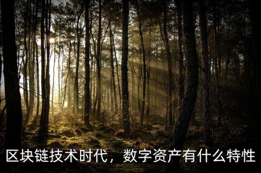 區(qū)塊鏈技術(shù)時(shí)代，數(shù)字資產(chǎn)有什么特性
