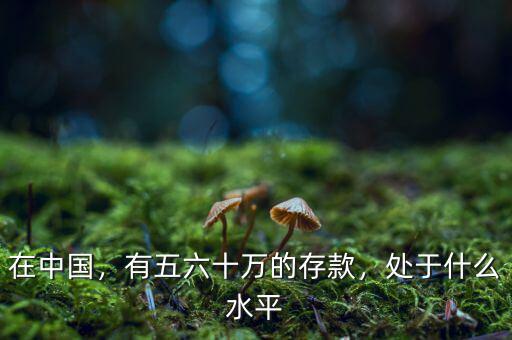 在中國(guó)，有五六十萬的存款，處于什么水平