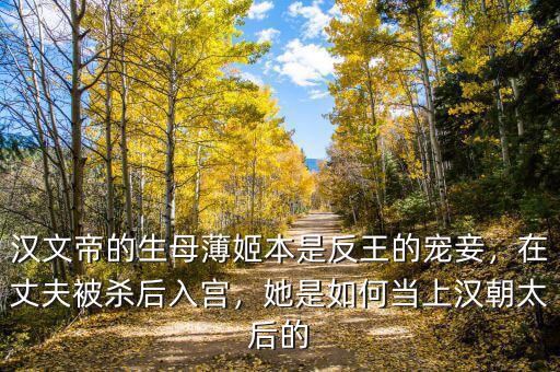 漢文帝的生母薄姬本是反王的寵妾，在丈夫被殺后入宮，她是如何當上漢朝太后的