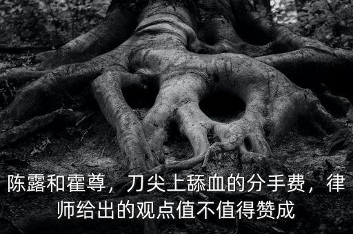 陳露和霍尊，刀尖上舔血的分手費，律師給出的觀點值不值得贊成