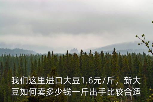 我們這里進(jìn)口大豆1.6元/斤，新大豆如何賣多少錢一斤出手比較合適