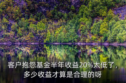 客戶抱怨基金半年收益20%太低了，多少收益才算是合理的呀