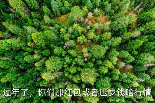 過年了，你們那紅包或者壓歲錢啥行情
