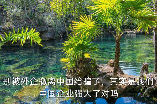 別被外企撤離中國給騙了，其實是我們中國企業(yè)強大了對嗎