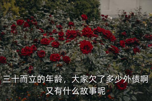 三十而立的年齡，大家欠了多少外債啊又有什么故事呢