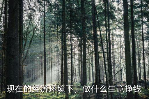 現(xiàn)在的經(jīng)濟環(huán)境下，做什么生意掙錢