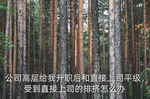 公司高層給我升職后和直接上司平級(jí)，受到直接上司的排擠怎么辦