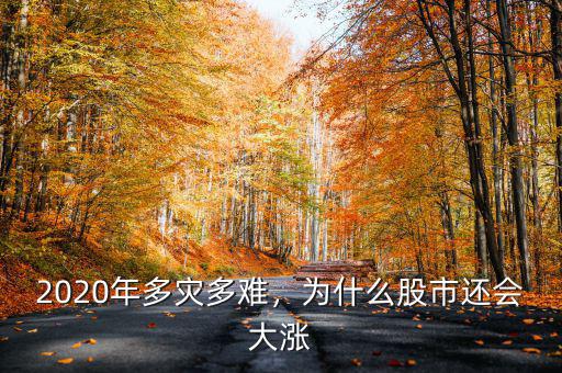 2020年多災(zāi)多難，為什么股市還會大漲
