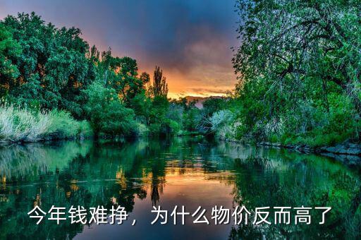 今年錢難掙，為什么物價反而高了