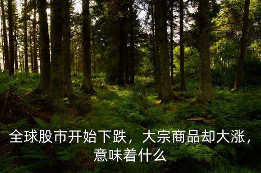 全球股市開始下跌，大宗商品卻大漲，意味著什么