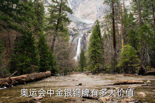 奧運(yùn)會銅牌值多少,銅牌可以獲得多少獎金
