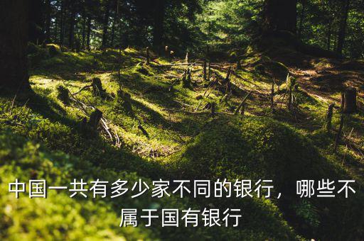 中國一共有多少家不同的銀行，哪些不屬于國有銀行