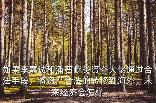 如果李嘉誠(chéng)和潘石屹類(lèi)資夲大佬通過(guò)合法手段，將資產(chǎn)合法的轉(zhuǎn)移到海外，未來(lái)經(jīng)濟(jì)會(huì)怎樣